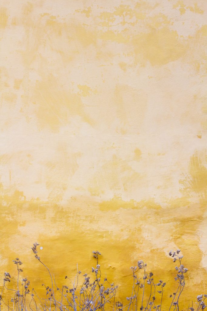 yellow background with wild flowers