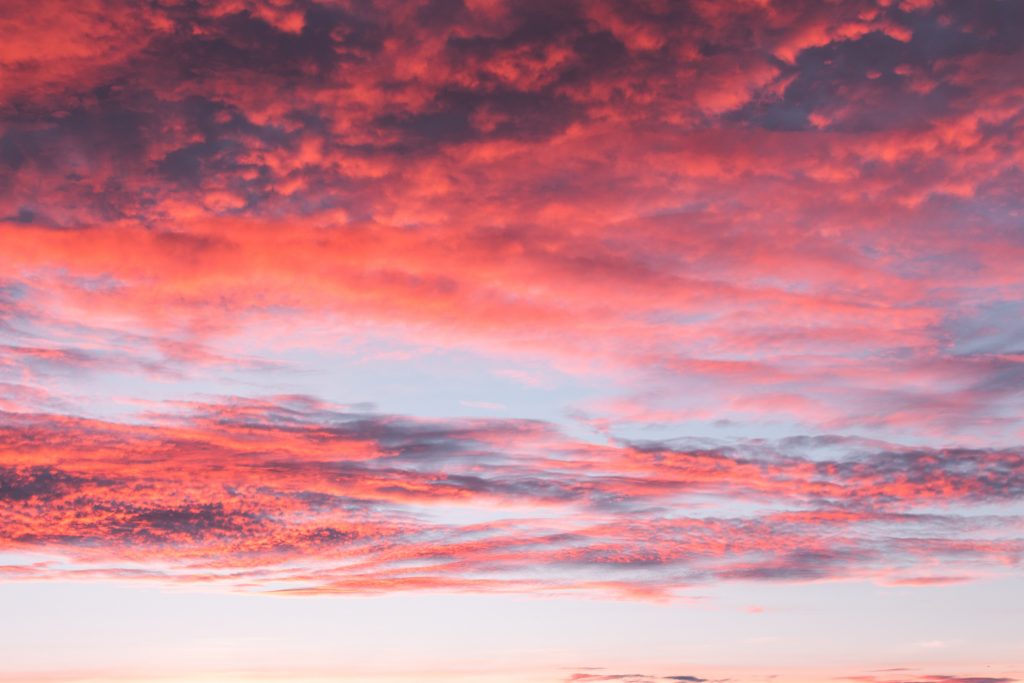 pink sunset